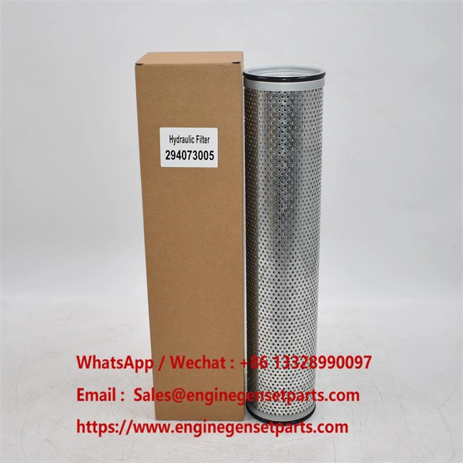 294073005 PUTZMEISTER