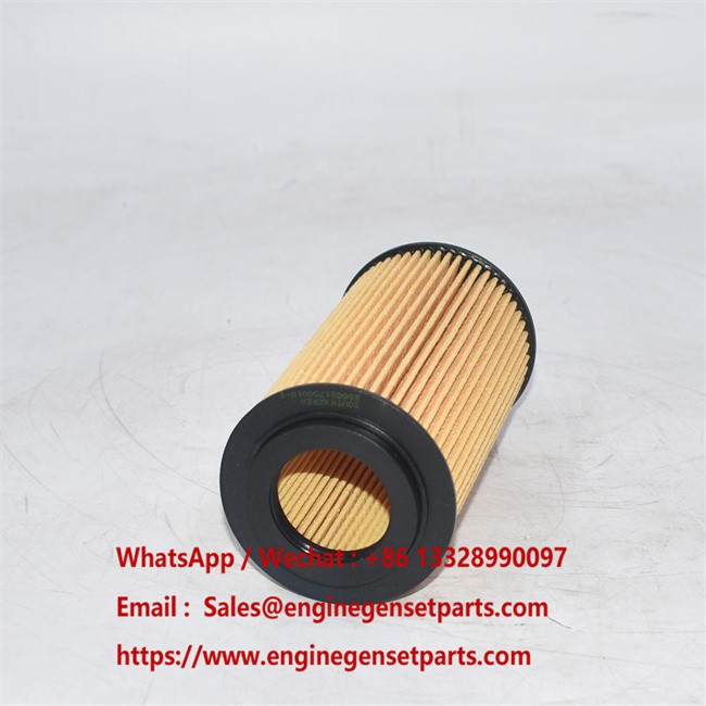 ED0021750010S Oil Filter